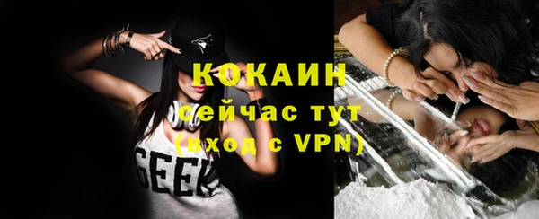 стафф Бородино